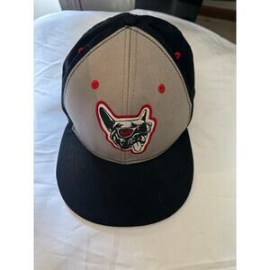 Pug Dog embroidered patch baseball cap youth OS